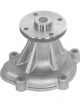 Protex Water Pump
