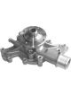 Protex Water Pump