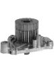 Protex Water Pump