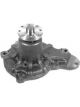 Protex Water Pump