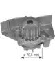 Protex Water Pump