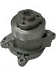 Protex Water Pump