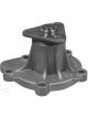Protex Water Pump