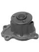 Protex Gold Premium Water Pump