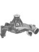 Protex Water Pump