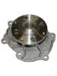 Protex Water Pump
