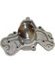 Protex Water Pump