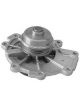 Protex Water Pump