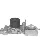 Protex Water Pump