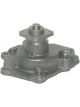 Protex Water Pump