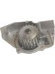Protex Water Pump