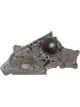 Protex Water Pump