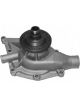 Protex Water Pump