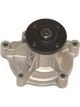 Protex Water Pump