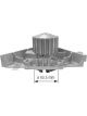 Protex Water Pump