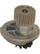 Protex Water Pump