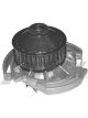 Protex Water Pump