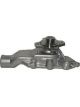 Protex Water Pump
