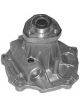 Protex Water Pump