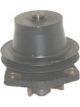 Protex Water Pump