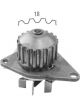 Protex Water Pump