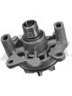Protex Water Pump