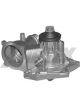 Protex Water Pump