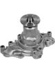 Protex Water Pump