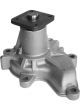 Protex Water Pump