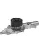 Protex Water Pump