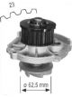 Protex Water Pump