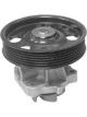 Protex Water Pump