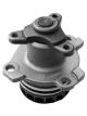 Protex Water Pump