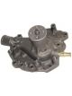 Protex Water Pump