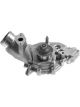 Protex Water Pump