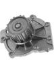 Protex Water Pump
