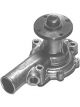 Protex Water Pump