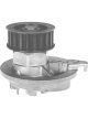 Protex Water Pump