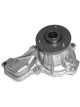 Protex Gold Premium Water Pump