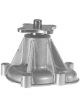Protex Water Pump