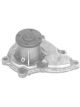 Protex Gold Premium Water Pump