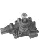 Protex Water Pump