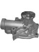 Protex Water Pump