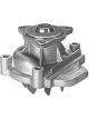Protex Water Pump