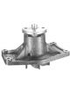 Protex Gold Premium Water Pump