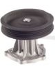 Protex Water Pump