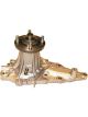 Protex Water Pump