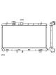 Protex Radiator