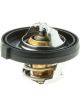 Gates Thermostat
