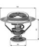 Gates Thermostat